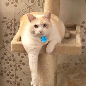 Meet your Posher, Wanda